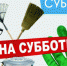 Флешмоб чистоты: 25 сентября состоится общекраевой субботник - Газета Наше время