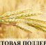 Уважаемые сельскохозяйственные товаропроизводители! - Район им. Лазо